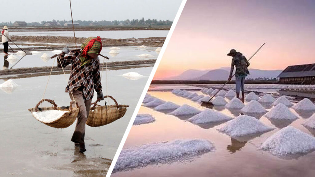 Salt Fields