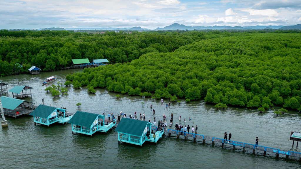 Trapeang Sangkae Mangrove Forest